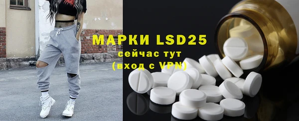 индика Медвежьегорск
