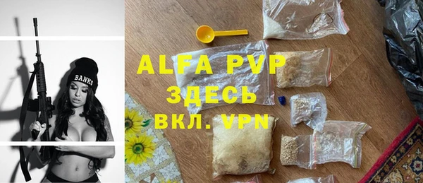 прущие грибы Баксан
